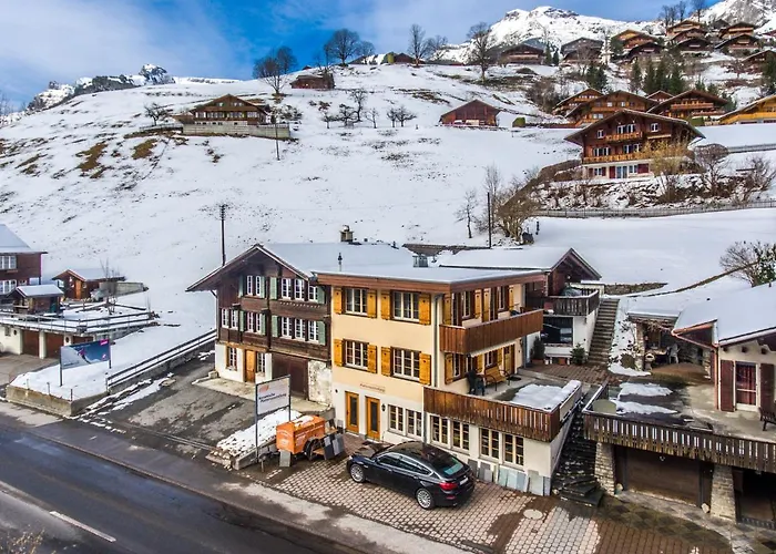 Strassscheuer 3.5 - Griwarent Ag Lejlighed Grindelwald